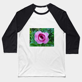 Pink rose Baseball T-Shirt